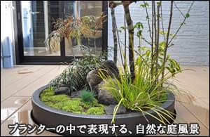 苔庭 千葉県 東京都の造園 植栽 庭施工 造園業専門店 新美園