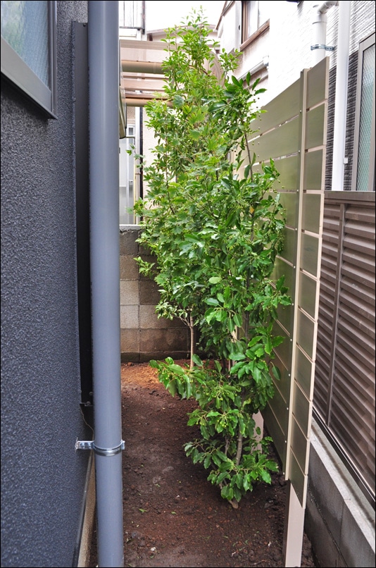 お住まい脇通路へ施工した樹脂フェンスと植栽