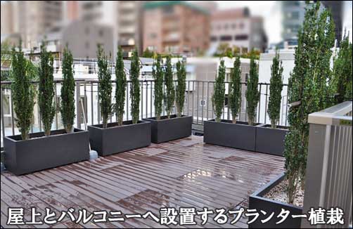 屋上とバルコニーへ設置するプランター植栽 港区ａ様邸 植栽の施工例 マンション専用庭 ベランダ バルコニーでの造園 千葉県 東京都の造園 植栽 庭施工 造園業専門店 新美園