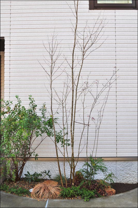 小さな花壇へ洋風ナチュラルな植栽デザインを 市川市m様邸 アプローチガーデン スモールガーデン 植栽の施工例 千葉県 東京都の造園 植栽 庭施工 造園業専門店 新美園