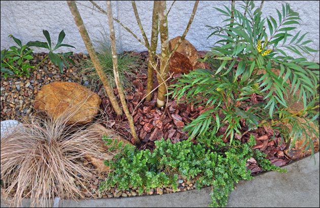 小さな花壇を活かしきる植栽レイアウト