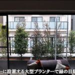 バルコニーへのプランター植栽で美しい目隠しを 港区マンションn様邸 植栽の施工例 マンション専用庭 ベランダ バルコニーでの造園 千葉県 東京都の造園 植栽 庭施工 造園業専門店 新美園 バルコニーへのプランター植栽で美しい目隠しを 港区マンションn様邸 植栽の施工例 マンション専用庭 ベランダ バルコニーでの造園 千葉県 東京都の造園 植栽 庭施工 造園業専門店 新美園