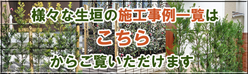 植木による生垣の施工例