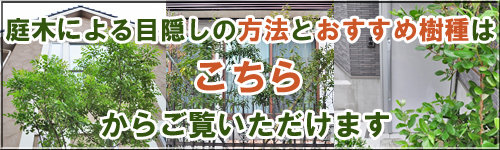 植物で自然な視線対策-目隠しや生垣向きの庭木30種類
