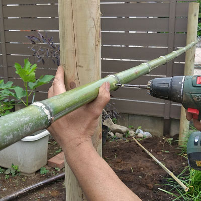 生垣の支柱と竹にドリルで下穴開け