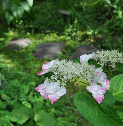 石と花の美しいマッチング