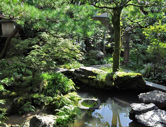 武家屋敷で見る池泉回遊式の庭：金沢にて