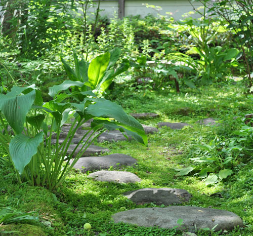 半日陰の和庭なら植物も幅広く