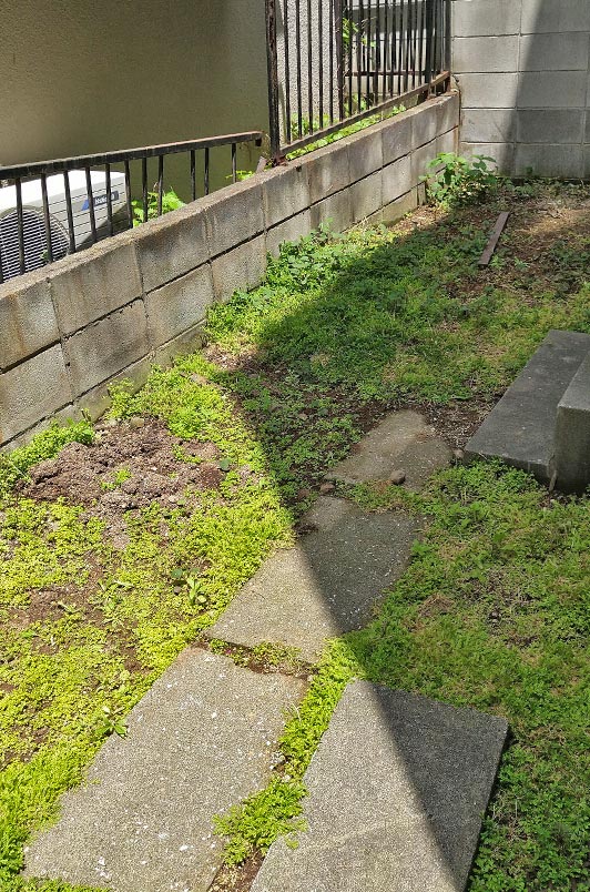 裏庭と通路を防草シートと砂利敷きによって快適な空間に 市川市o様邸 雑草対策 防草シート 砂利敷きその他 の施工例 千葉県 東京都の造園 植栽 庭施工 造園業専門店 新美園