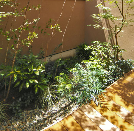 植樹景観と居場所を両立させる坪庭デザイン