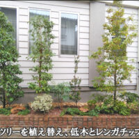 ソヨゴのシンボルツリーとサブツリー、低木で彩りを楽しむ花壇-豊島区F 