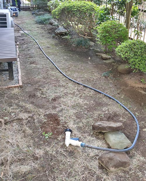 日陰に植えられた芝生