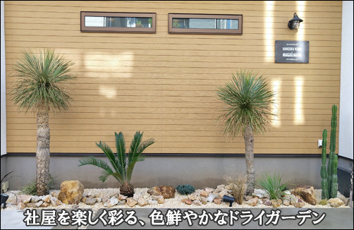 オフィスを楽しく彩る、花壇に施工したドライガーデン-江戸川区東京宣広社様