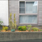 花壇にレイアウトした色彩豊かな植栽デザイン-横浜市K様邸