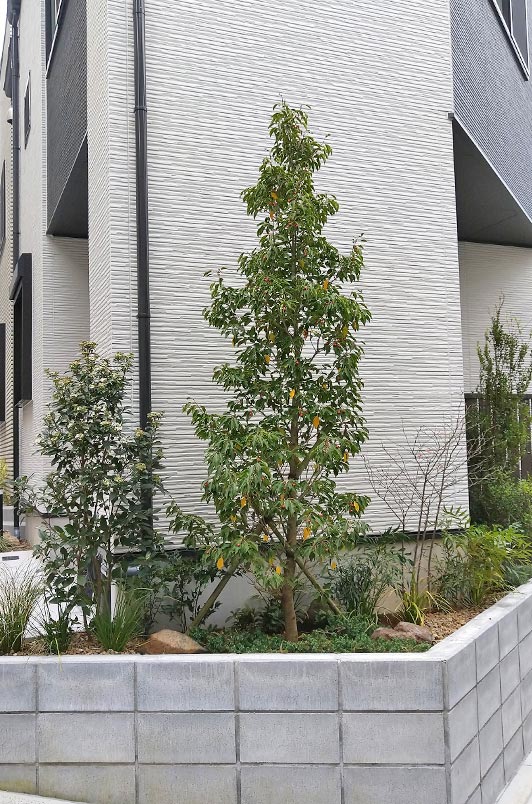 植栽デザインを施した花壇の全景