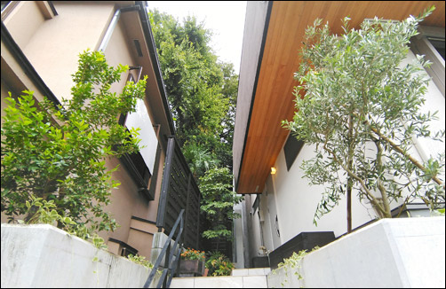 玄関へのステップ左右へ地中海風の植栽を-世田谷区J様邸