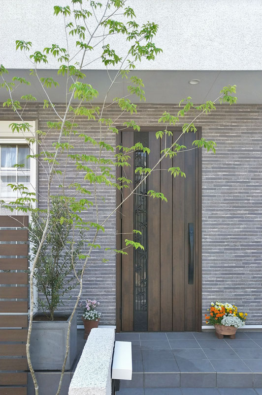 玄関側へ傾ぐシンボルツリーのアオダモ