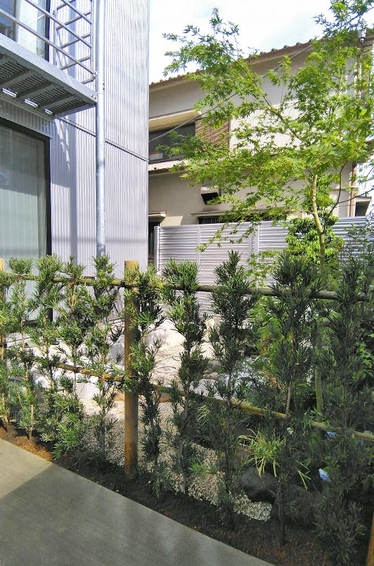庭と駐車場を区切るラカンマキの生垣