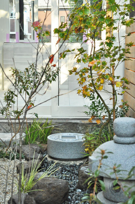 庭木の植栽群に困れる手水鉢