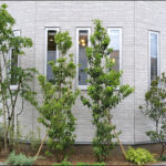 花壇の中でシンボルツリーと目隠しを共存させる植栽デザインを-世田谷区M様邸