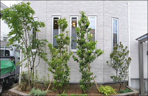 花壇の中でシンボルツリーと目隠しを共存させる植栽デザインを-世田谷区M様邸