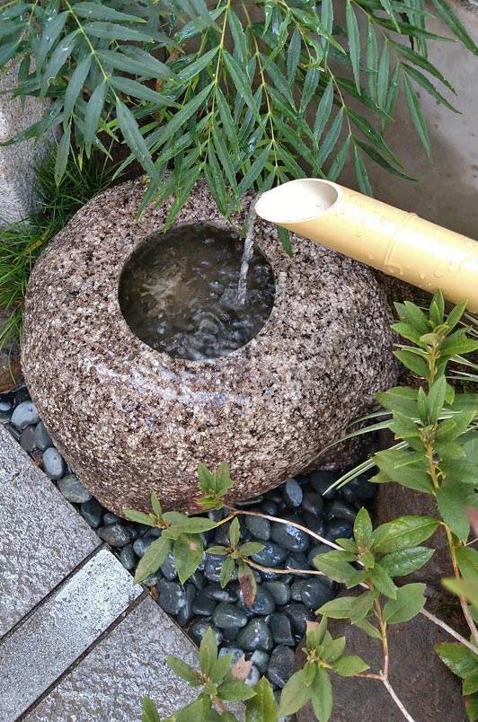 植栽の緑と水音が合わさる瑞々しい空間