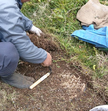 スコップや鎌を芝生の横から入れて土ごと剥がす