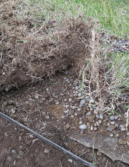 土に含まれる芝根ごと持ち上げて撤去する
