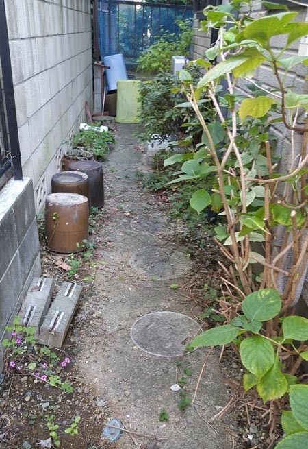 荒れ放題になった建物横の通路