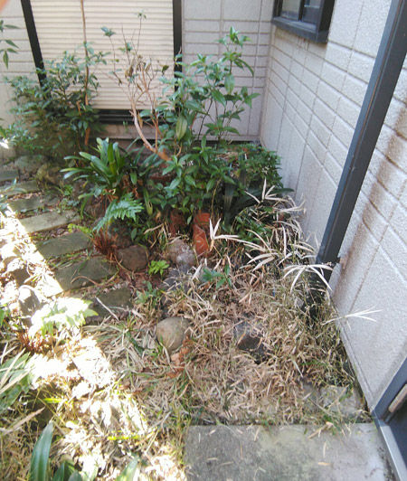 人が入らない中庭は雑草で荒れてしまいがちに
