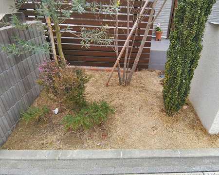 地面から上がっていく様に張られていた芝生