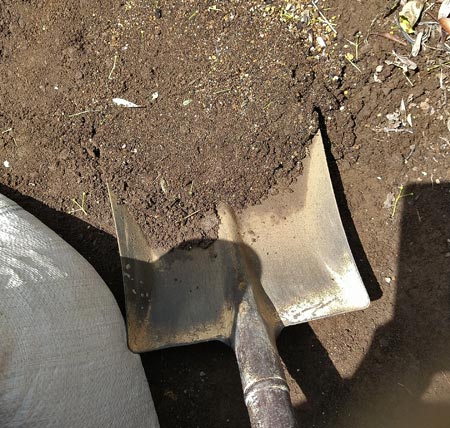 芝生を剥がした土面を角スコップで軽く漉き取る