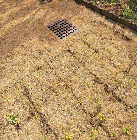 まずは芝生に切り込みを入れる
