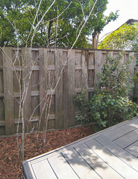 雑草対策と雑木林の様な景観を両立させる