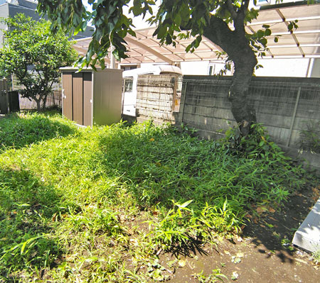 雑草は繁茂すると際限が無くなる