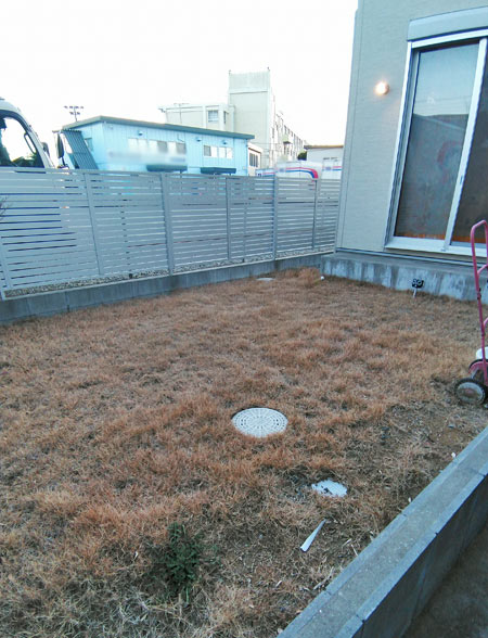 陽当たりも良く芝生が旺盛に繁茂する庭