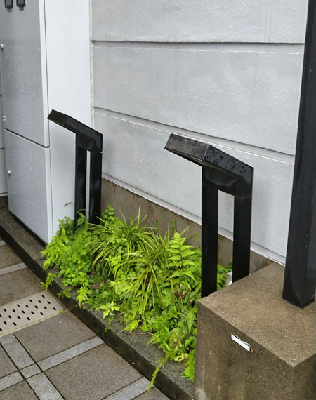 日陰に強い雑草が育ってしまう小さな空間