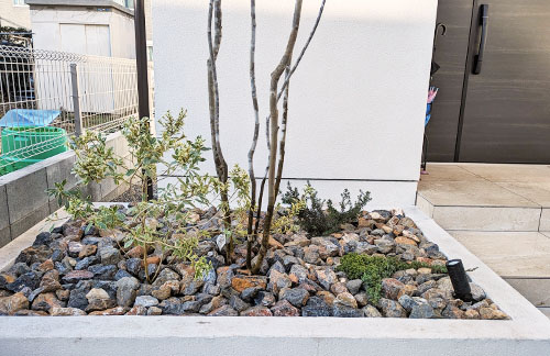 シンボルツリーに樹高5ｍのアオダモを植栽したロックガーデン風花壇-さいたま市N様邸玄関脇花壇