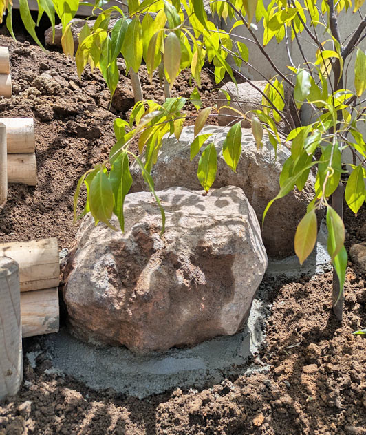 立ち木と土留め石組みの配置