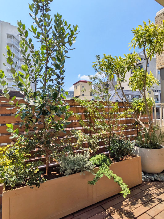 緑が繁茂する、プランターのセット状況