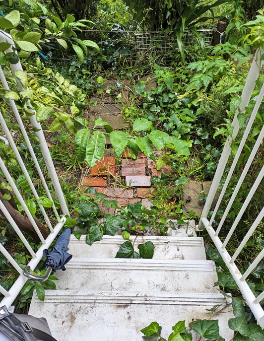 不要物も多く階段から下りにくい状態に