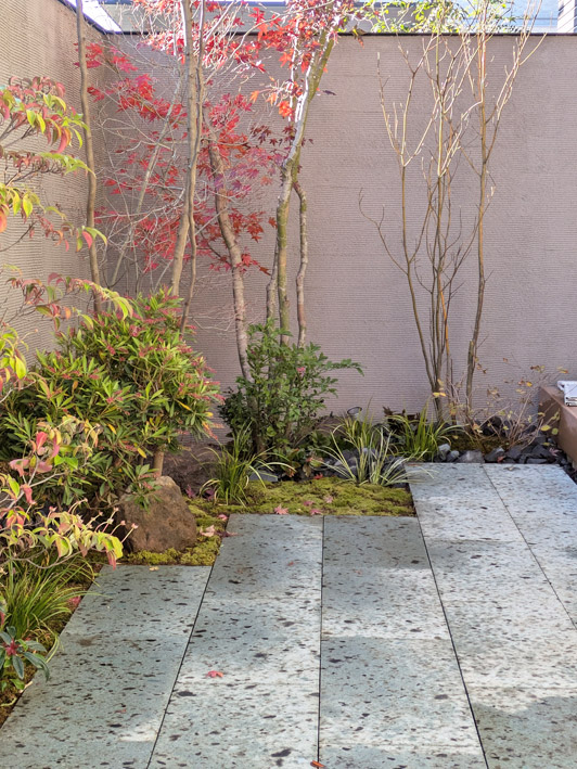 雑木類に馴染む中低木の佇まい