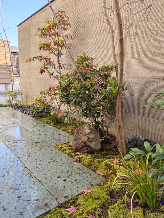 小さな木々が生み出す自然な高低差