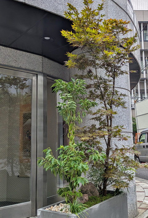 お店の雰囲気を外へ伝えつつお客様を迎えるプランター植栽
