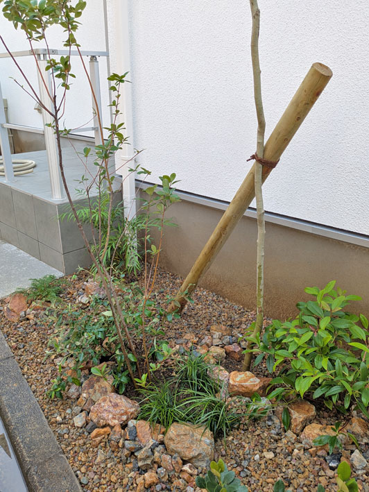 ランダムに散らした低木レイアウト