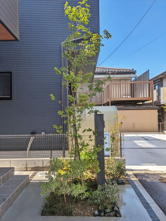 横から見せる植栽の高低バランス
