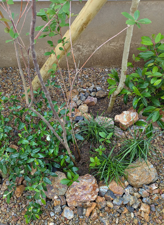 石の立体感と植栽の自然繁茂を楽しむ