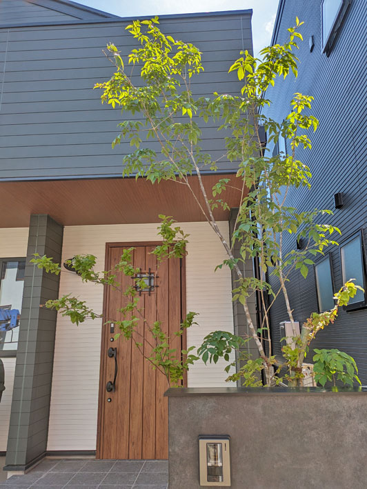 建物を暗く見せない雑木植栽の魅力