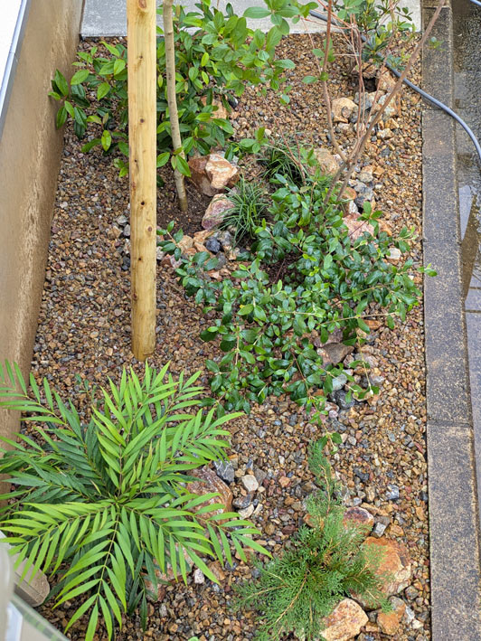 割石・砂利と植栽の面積比