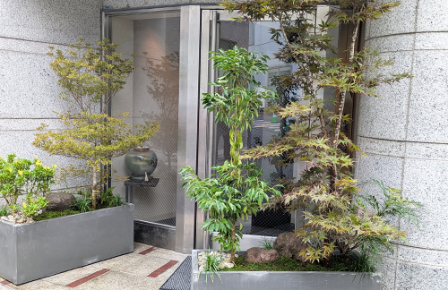 2台のプランターで坪庭を表現する、割烹料理店の植栽デザイン-港区六本木「風 髙木」様
